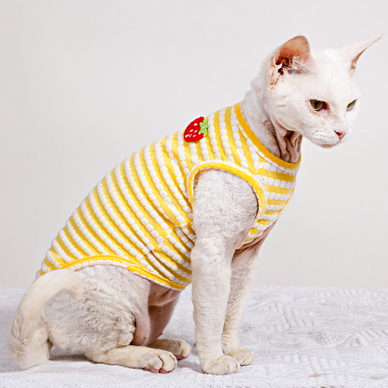 Camiseta de verão para gato sp - Soft Summer Yellow Clothing avaliação e preço