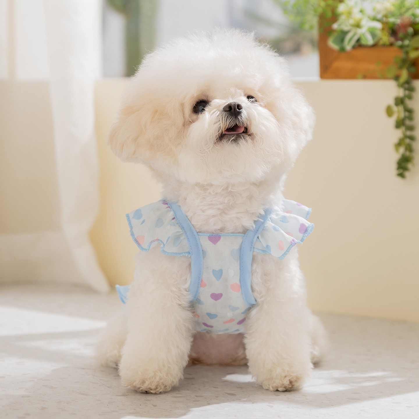 Roupa Amarela para Cães: Vesti - Soft Summer Yellow Clothing avaliação e preço